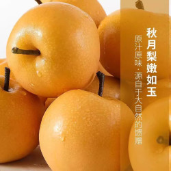 鲜宝道 秋月梨 新鲜整箱 5斤中果单果300净重4.5斤