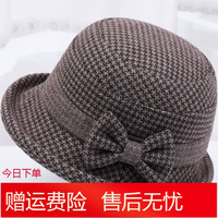 墨姿岚 中老年人帽子女秋秋季妈妈毛呢盆帽加厚奶奶礼帽春秋洋气 咖啡色 均码