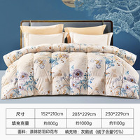 富安娜 FUANNA家纺 羽绒被芯95%白鹅绒被子冬季保暖加厚冬被 【95灰鹅绒冬厚被】玲珑(热销款) 230*229cm 冬被【95灰鹅绒+蓬松储暖】玲