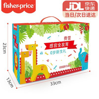 费雪婴儿新生大礼包触觉感知球宝宝皮球摇铃球趣味学习布书新生儿手抓球软胶球类玩具 新生大礼包