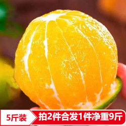 天乐优选 麻阳冰糖橙 5斤