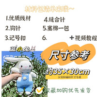 手工织可爱玩偶春游兔子陪伴娃娃 冰条钩针diy自制闺蜜 蓝小兔材料包