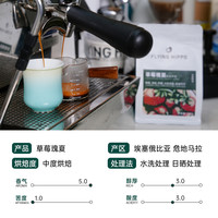 FLYINGHIPPO瑰夏草莓拼配花香风味精品意式美式拿铁黑咖啡豆250g