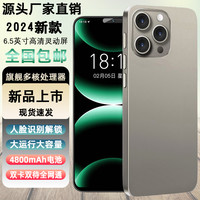 SANNAING/三耐 1024GB存储 智能5G安卓手机