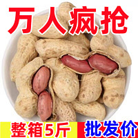 荆蒙缘 农家铁锅炒花生小珍珠新货带壳熟花生口感香脆炒熟