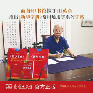 田英章字帖《新华字典》通用规范汉字8105 行书钢笔字帖硬笔书法练字描红