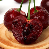 奶萝智利车厘子新鲜鲜果 精选大果车厘子 大樱桃生鲜水果 3.5斤(净重) XL小果