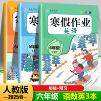《2025小学寒假衔接作业》
