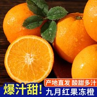 琪江果宜昌九月红果冻橙 当季新鲜甜橙子孕妇水果