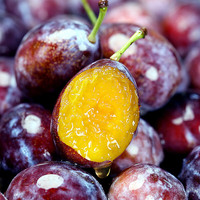 樱三少新疆西梅 喀什法兰西宝宝可吃 当季现摘水果甜西梅李子 法兰西 西梅 5斤装 单果35g-50g