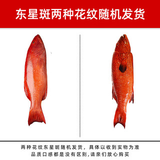 鲟食 海捕东星斑鱼 鲜活冷冻石斑鱼生鲜鱼类春节年货海鲜礼盒 海捕东星斑 1000-1100g/条