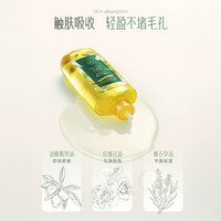 安安金纯橄榄油护肤脸部全身按摩精油孕期润肤油身体油身体乳精油