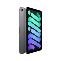 苹果 Apple iPad mini (A17 Pro) 8.3英寸 2024年新款平板电脑(128G eSIM版/MXQ03CH/A)深空灰色