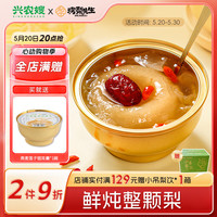 兴农嫂烤梨先生小吊梨汤鲜炖小碗梨冰糖雪梨银耳炖梨水果罐头端午节礼盒 原味小碗梨240g*6碗【整颗梨】