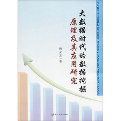 大数据时代的数据挖掘原理及其应用研究