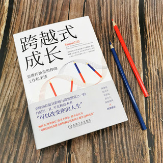 跨越式成长：思维转换重塑你的工作和生活