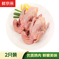 鲜京采 乳鸽 300g*2只 冷冻 烧鸽子煲汤食材