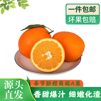逮果 奉节脐橙当季新鲜现摘孕妇水果橙子 奉节脐橙净重5.4斤-单果70-80mm