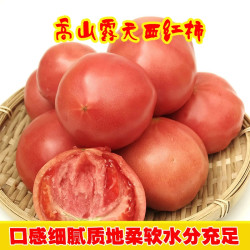 滇老头 云南自熟沙瓤西红柿老品种水果番茄精选高山露天种植新鲜拒绝催熟