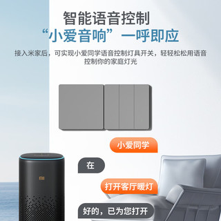  fdd/国际电工 语音控制 智能开关  白色