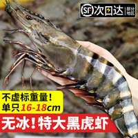 渔吻黑虎虾大虾新鲜超大鲜活速冻海鲜水产老虎虾特大基围虾竹斑九节虾 【超大】30-40只/盒