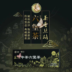 中茶 黑盒典藏版2021年 特级广西梧州六堡茶 200g