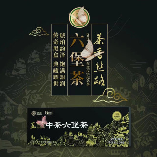 中茶 黑盒典藏版2021年 特级广西梧州六堡茶 200g