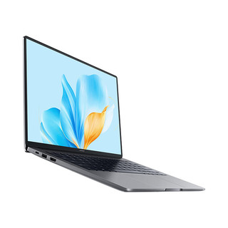 HONOR 荣耀 X14 2025 战斗版 14英寸 轻薄本 星空灰（酷睿i5-13420H、核芯显卡、16GB、512GB、1920*1200、IPS、60Hz）