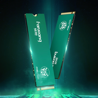 FANXIANG 梵想 P761 NVMe M.2 固态硬盘 1TB（PCI-E4.0）