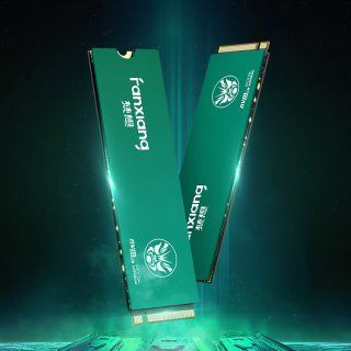 FANXIANG 梵想 P761 NVMe M.2 固态硬盘 1TB（PCI-E4.0）