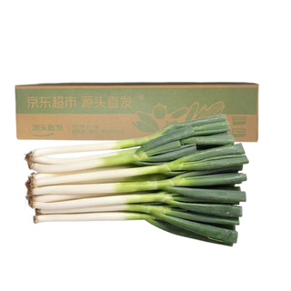 京鲜生 山东铁杆大葱 5斤 生鲜蔬菜