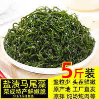 盐渍马尾藻5斤涮火锅食材新鲜鞭炮笋海藻菜长寿菜羊栖菜凉拌海带1