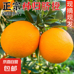 秭归 宜昌脐橙 60mm+ 带箱四斤