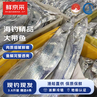 鲜京采 【冰鲜钓带】舟山钓带现钓大带鱼整条6条/1.8kg 源头直发