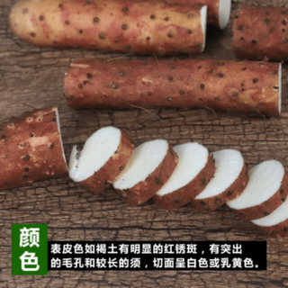 京百味 焦作温县垆土铁棍山药 5斤礼盒 40-50cm 新鲜蔬菜生鲜 源头直发