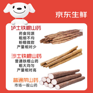 京百味 焦作温县垆土铁棍山药 5斤礼盒 40-50cm 新鲜蔬菜生鲜 源头直发