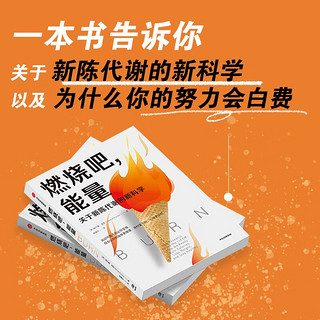 燃烧吧，能量 中信出版社