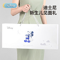 百亿补贴：Disney 迪士尼 新生儿见面礼婴儿玩具礼盒手摇铃高档实用宝宝百天满月礼物