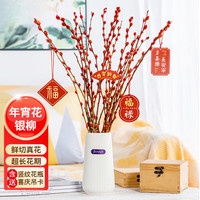 京佳乐年宵花银柳真花鲜枝春节耐寒花卉水培植物干花红色银柳客厅室内花 中国红银柳20支60cm+花瓶+吊卡