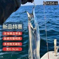 渔吻【超厚四指宽】新鲜特级大带鱼整条海鲜年货礼盒冰鲜冷冻带鱼 【7两-1斤/条】整条大带鱼5斤