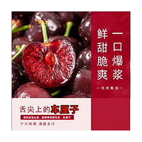 伊鲜拾光 智利车厘子 4J加黑硬 450g/2斤/3斤/5斤