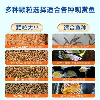 日清丸红饲料小型鱼斗鱼兰寿孔雀鱼灯鱼金鱼慈鲷鱼食ABCSEP EP2型(50克) 颗粒大小约2mm