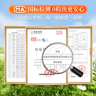 丹东99草莓新鲜红颜东港九九奶油草莓甜牛奶草莓水果礼盒空运 特大果（单果30-35g以上）