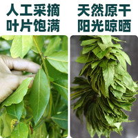 广西特级香叶香料干货食用月桂卤料大料桂皮八角调料大全
