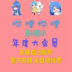 哔哩哔哩会员12个月 bilibili会员B站大VIP会员1年卡  bilibili