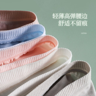 南极人内裤女生纯棉抑菌2024无痕三角短裤100%全棉裆女短裤头 【4条装】NHF9C387 L