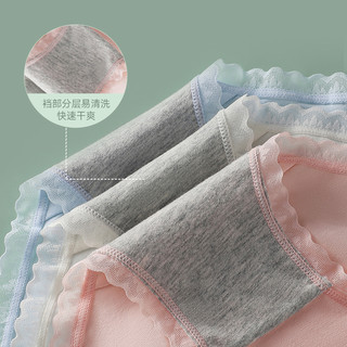 南极人内裤女生纯棉抑菌2024无痕三角短裤100%全棉裆女短裤头 【4条装】NHF9C387 L