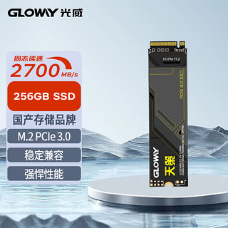 光威天策 256g 512g 1t固态硬盘ssd m.2 PCIe3.0笔记本台式机电脑 256GB