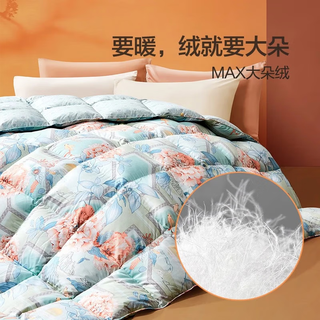 富安娜（FUANNA）家纺 羽绒被芯被子冬天加厚冬被保暖被子(优选) 【冬厚被】