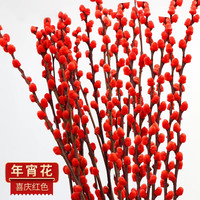八芽银柳真花鲜枝抱抱福桶喜庆年宵花卉盆栽室内红色干花水培植物雪柳 A级银柳高约60cm20枝+2个灯笼 带灯笼
